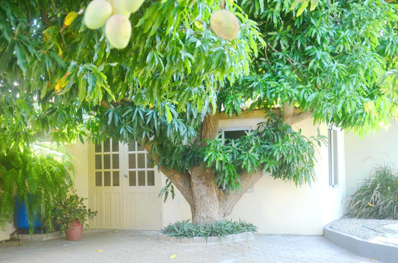 וילמסטאד Homey Vacation And Carrental מראה חיצוני תמונה